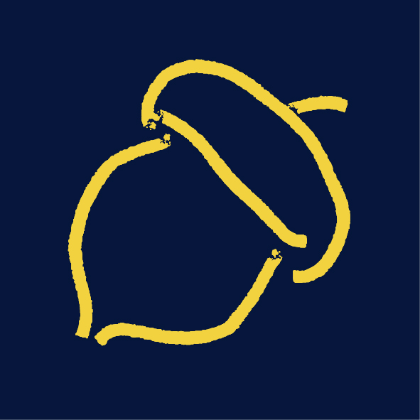 Yellow hand drawn Acorn.finance logo by Paul Thompson